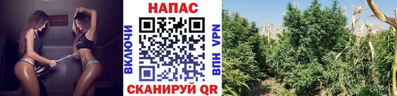 Наркота Вяземский Cocaine  А ПВП  ГАШИШ  МЕФ 