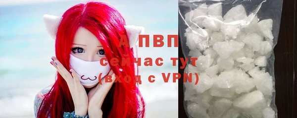 молекула духа Беломорск