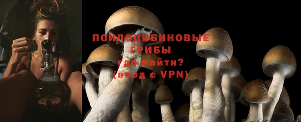 хмурый Белоозёрский