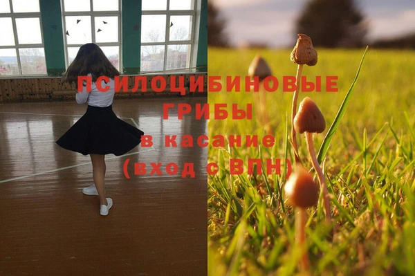 spice Кодинск