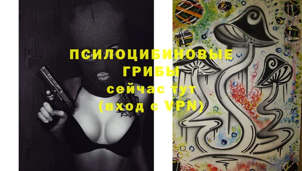 spice Бугульма