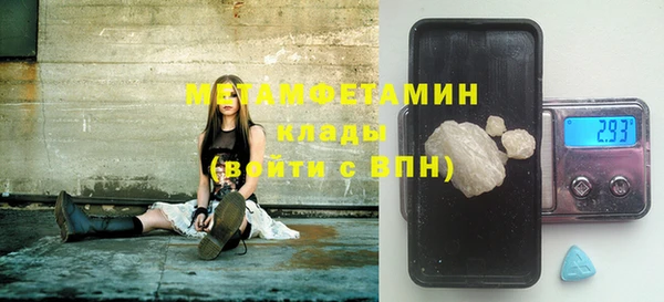 сатива Беслан