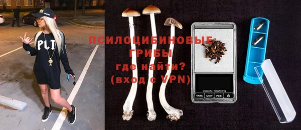 spice Бугульма