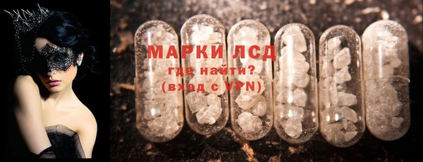 индика Козельск